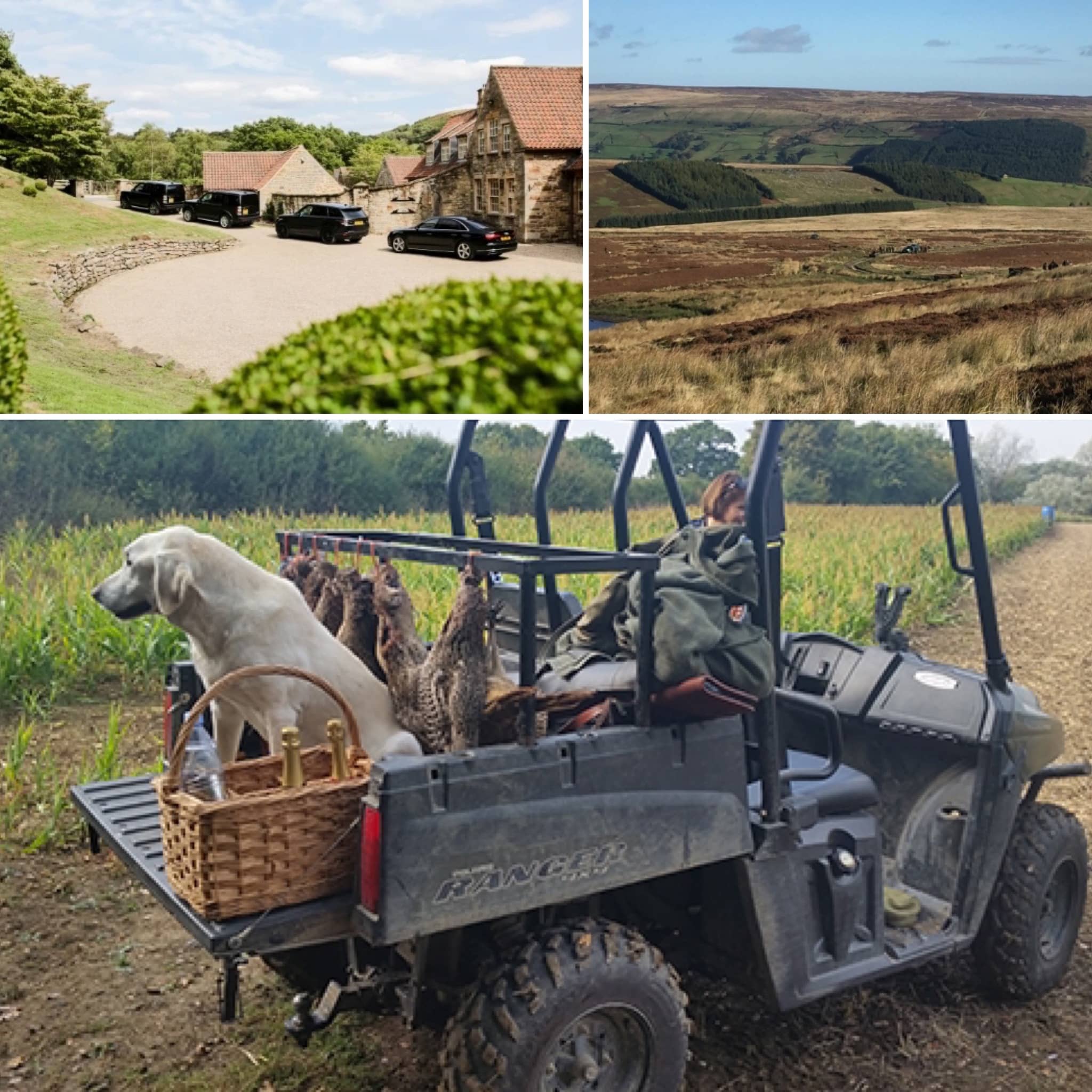 CPW Chauffeur Services cars in convoy & dog sat on buggy